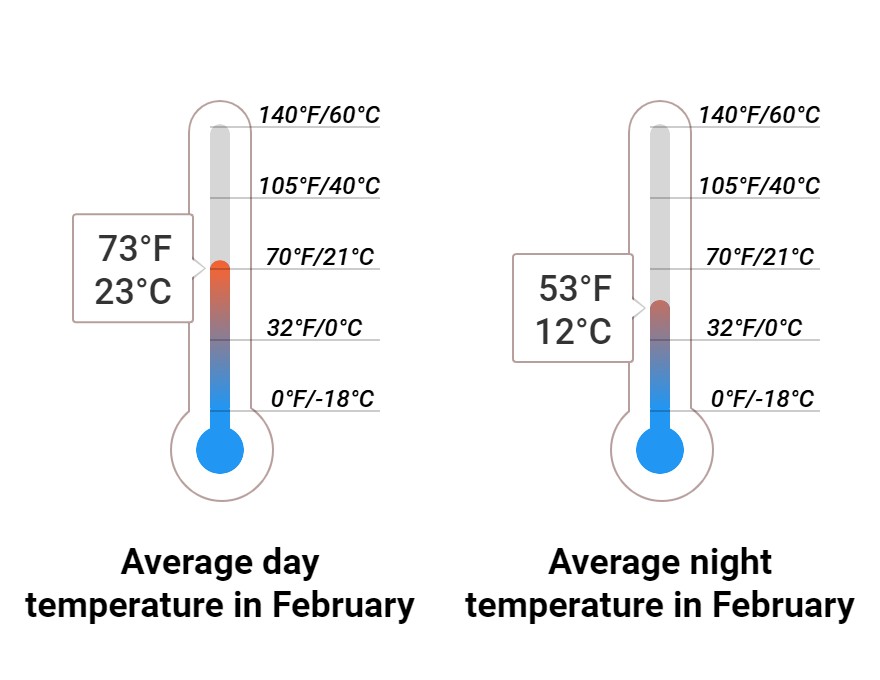 February Weather in Kissimmee, Florida 2024 Winter Sun Expert